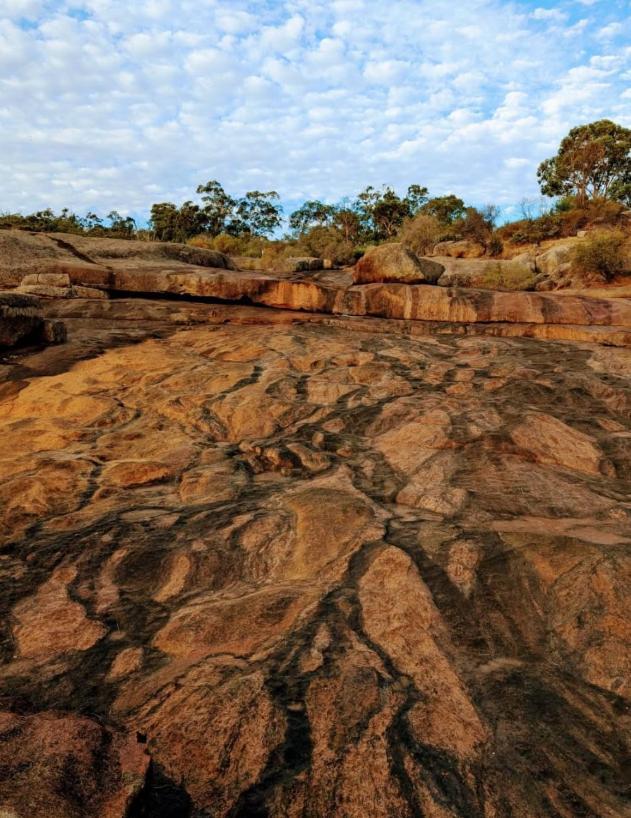 Mahogany Inn And Distillery Mahogany Creek المظهر الخارجي الصورة
