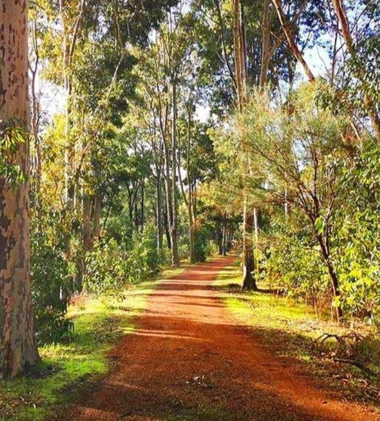 Mahogany Inn And Distillery Mahogany Creek المظهر الخارجي الصورة