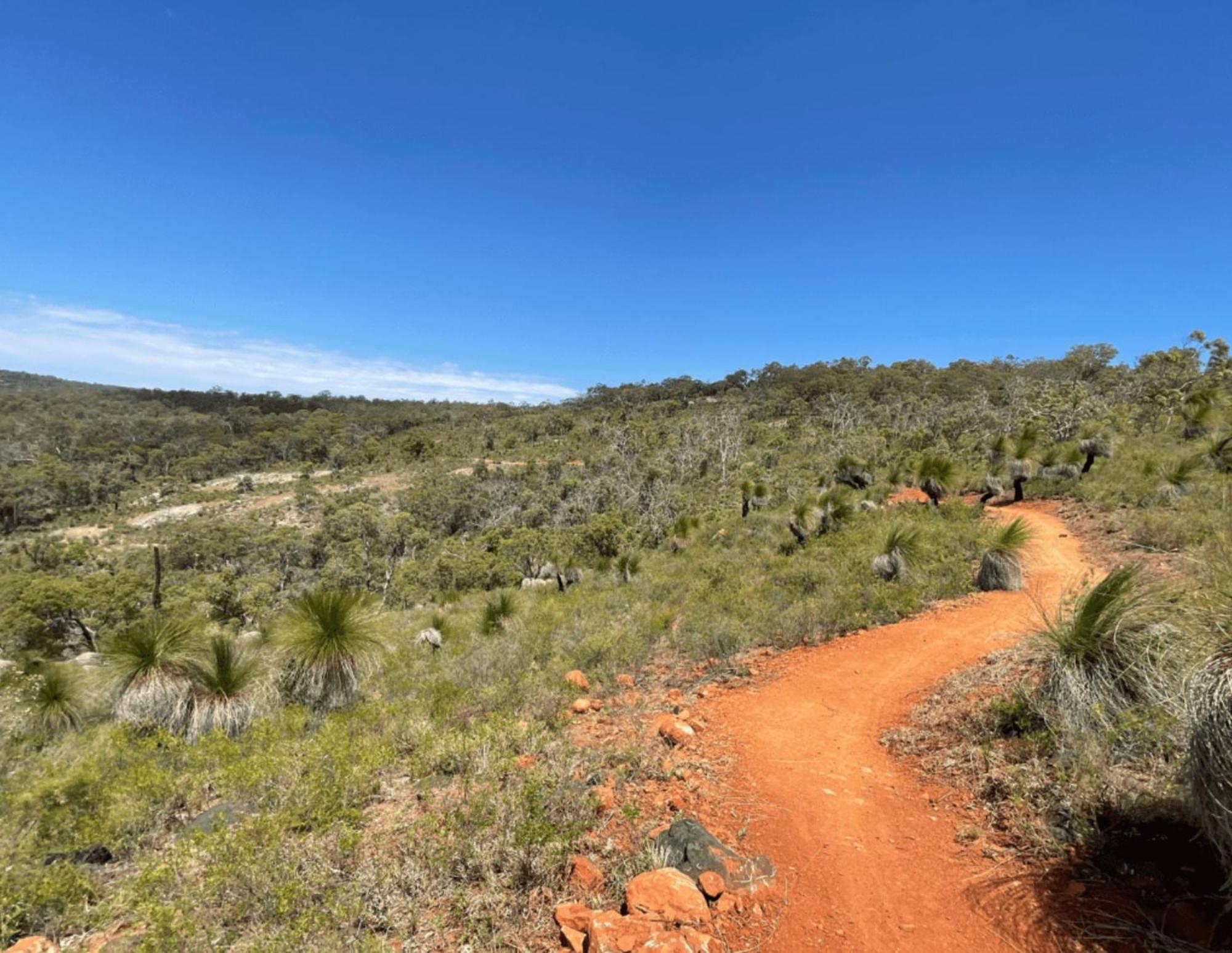 Mahogany Inn And Distillery Mahogany Creek المظهر الخارجي الصورة